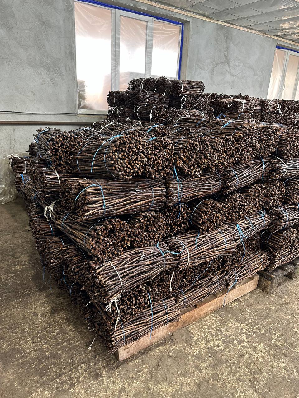 Butași Premium MD – Producător Butași Viță de Vie | GȚ Pușcașu Andrei